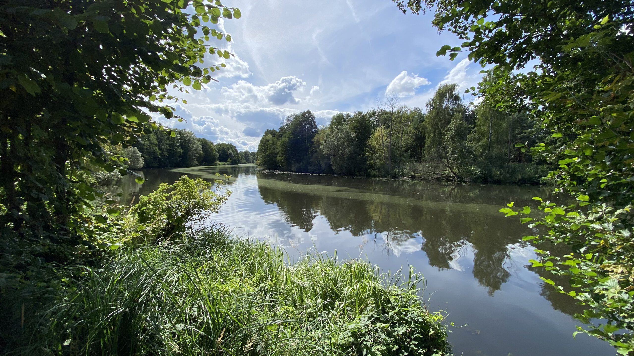 Mehr über den Artikel erfahren SPREEWALD 360°