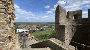 Mehr über den Artikel erfahren Reisetipp: Die Deutsche Weinstraße in Rheinland-Pfalz