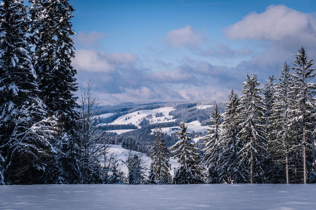 Busreise Schwarzwald