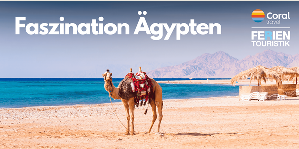 Mehr über den Artikel erfahren Reisetipp: Auszeit in Ägypten – Schnorcheln im Roten Meer