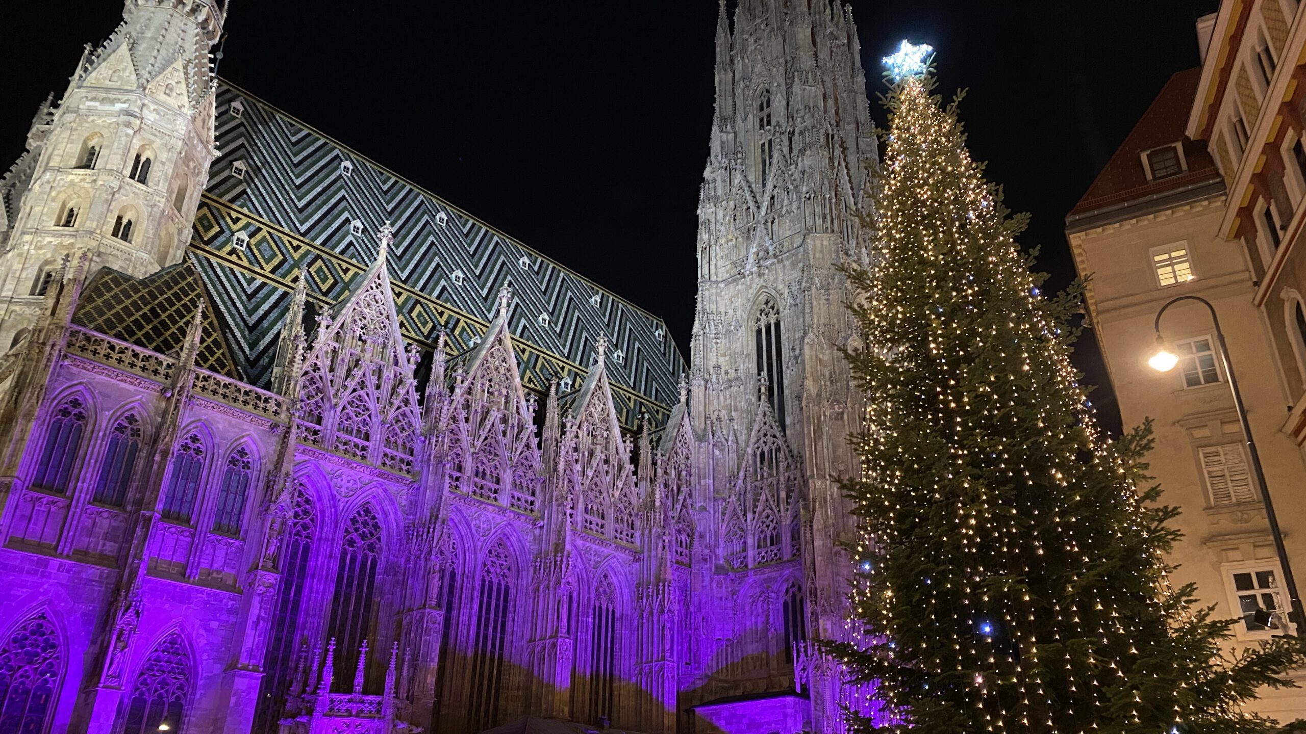 Mehr über den Artikel erfahren Advents- und Weihnachtsreisen 2025